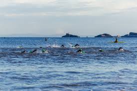 Image result for SwimSwansea