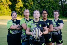 Image result for Davison Badminton Club