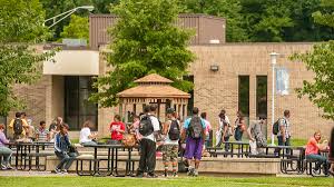 Image result for Nelson Cc