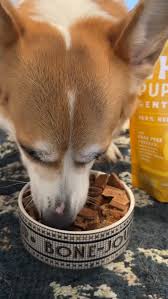 Image result for apupy