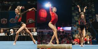 Image result for Hemsworth Odyssey Gymnastics Squad