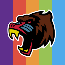 Image result for Aberystwyth University Octopush club