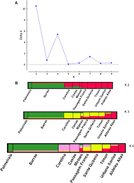 Attēlu rezultāti vaicājumam “Heterotrichia insignis (syn. Arcyria insignis) macro”