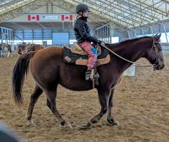 Image result for Weybridge Equestrian Centre