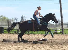 Image result for Lakes Riding Club