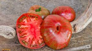 Afbeeldingsresultaat voor erdie family oxheart tomato