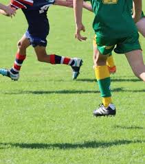 Image result for South Shore Cricket & Squash Club(Inc Scorpions Amateur Rugby League Club)