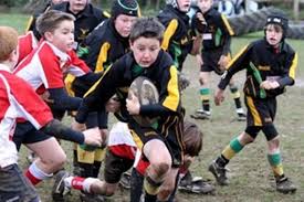 Image result for Farnborough Rfc Minis & Juniors