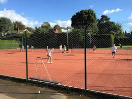 Image result for Dorking Lawn Tennis Club