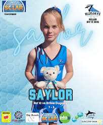 Image result for Blue Jays Netball Club