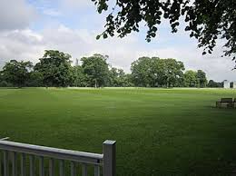 Image result for Chelford Cricket Club