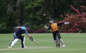 Image result for Downe Cricket Club
