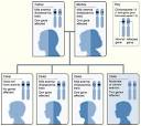 <b>thalassemia</b> intermedia or