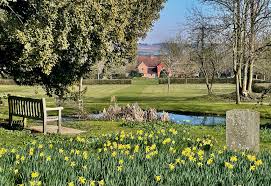 Image result for Capel St Mary & Little Wenham Bowls Club