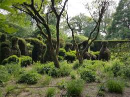 Image result for Priona Tuinen