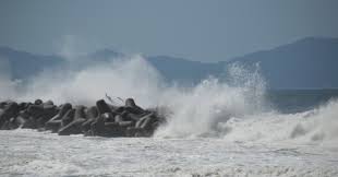 Image result for 高潮 津波 別物