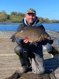 Image result for Abramis brama