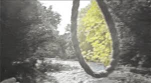 Image result for Shay Laren