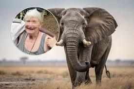 Image result for "John Somer" "Carina Lowers"