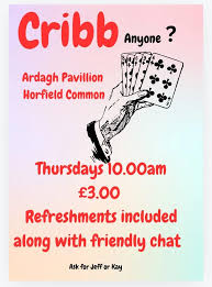 Image result for Ardagh Bowling and sports club