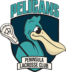 Image result for Pelicans Hockey Club