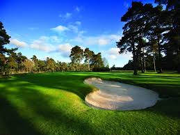 Image result for Hindhead Golf Club