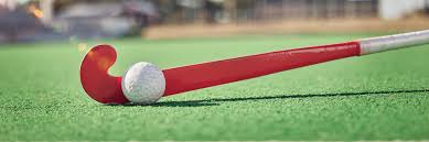 Image result for York University Hockey Club