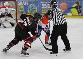Image result for Streatham Night Wolves Ice Hockey Team