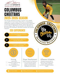 Image result for Cheetahs Softball Team
