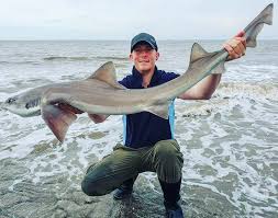 Image result for Bristol Channel Sea Fishing