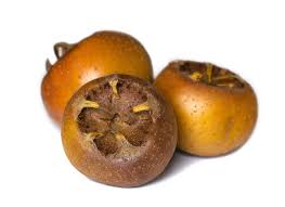 Attēlu rezultāti vaicājumam “Mespilus germanica fruit”