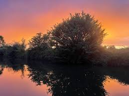 Image result for Milton Scrabble Club