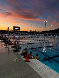 Image result for Derby Phoenix Swimming Club