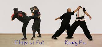 Image result for Tao So Choy Kung Fu Club, Hull