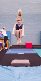 Image result for Weybridge Gymnastics