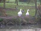 You can imagine the conversation - "You go first" - "No, you go first" - "Ok - via Daymix