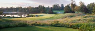 Image result for Flint Golf Club