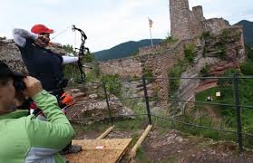 Image result for Castle Field Archers