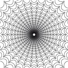 Image result for web patterns