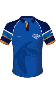 Image result for Kingsbridge Kingfishers Swimming Club