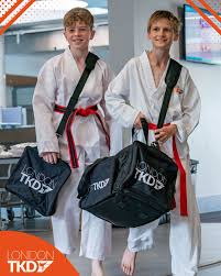 Image result for Martial Arts London