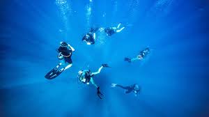 Image result for Deep and Wide Diving