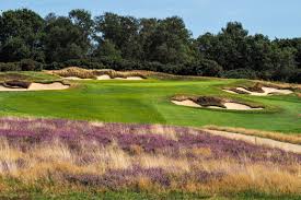 Image result for Ipswich Life Saving Club