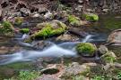 Honey Creek State Natural Area — Texas Parks & Wildlife Department