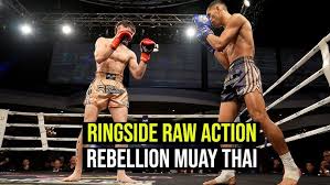 Image result for Allstars Kickboxing