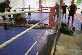 Image result for Cardiff Mma