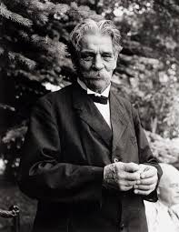 Image result for albert schweitzer