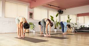 Image result for Flexibility Health & Fitness Club