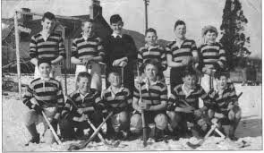 Image result for World of Shinty