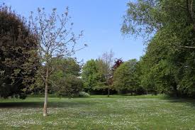 Image result for Baldock Town Bowls Club